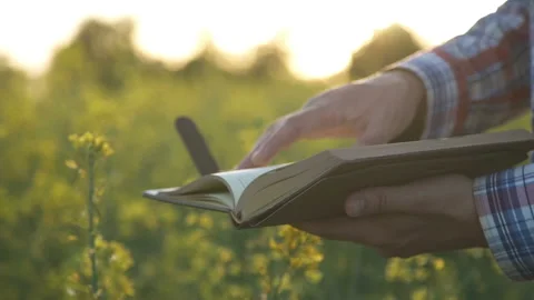 The farmer looks at a notebook on the field Video stock 119762486