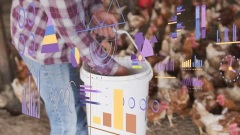 Farmer lowering bucket and scooping feed in poultry barn, feeding flock with Vídeo Stock 334266937