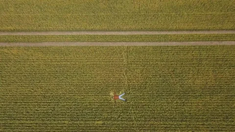 A farmer lying on the ground in a wheat field. Top view. Aerial drone view. Video stock 175992047