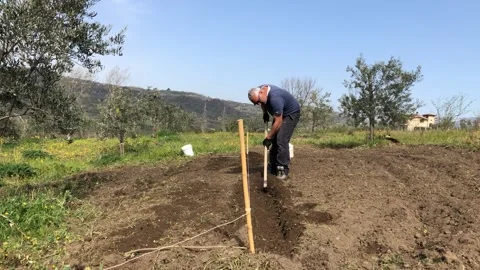 Farmer makes furrows in the ground with the hoe Video stock 152025814