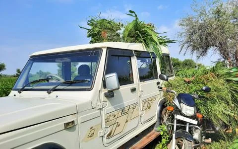 Farmer making bundle of green grass for cattle feed on vehicle Stock Photos
