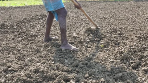 Farmer making soil ready on the field Stock Footage 291237064