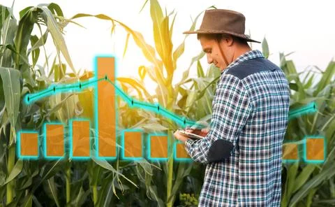 A farmer man analyzing a digital chart or graph on a tablet, focusing on gr.. Stock Photos