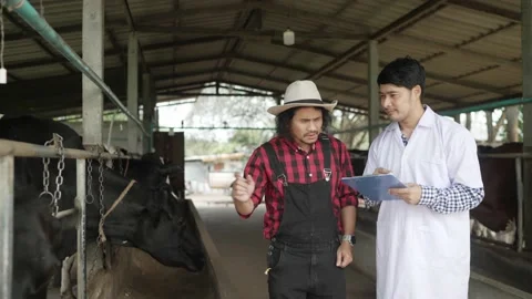 A farmer man and a beast talk to each other in the cowshed. 動画素材 182419789