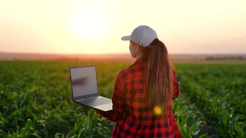 Farmer man in corn field works with computer, Business Farm. Modern Worker works 動画素材 254518059