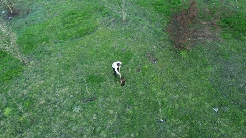 Farmer man digging for planting Stock Footage 240131141