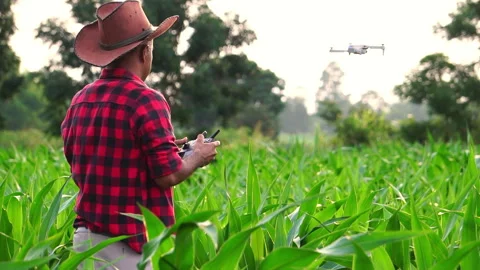 Farmer man with digital tablet controling drone Agriculture technology over corn Stock Footage 249616133