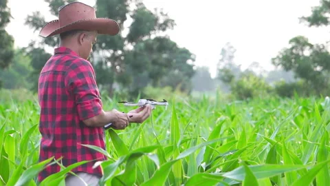 Farmer man with digital tablet controling drone Agriculture technology over corn Stock Footage 249616285