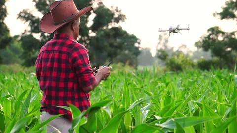 Farmer man with digital tablet controling drone Agriculture technology over corn Stock Footage 249616288