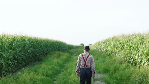 Farmer man with digital tablet in hand walks along a dirt road between Stock Footage 194577019