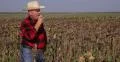 Farmer Man Eat Sandwich Break Lunch Sunflower Field Countryside Farm Agronomist 4k or 4k+ Resolution