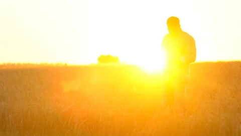 Farmer man with tablet in wheat field at sunset. Modern farming, advanced Stock Footage 101309366