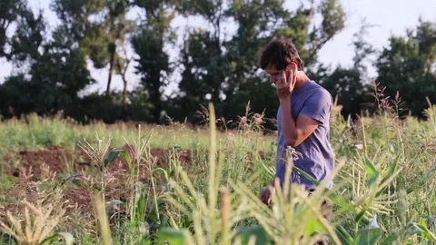 Farmer man talking on mobile phone at field of organic eco farm Stock Footage
