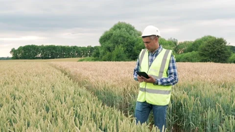 Farmer man working on farm with digital tablet in agriculture, Technology of Stock Footage 203816347