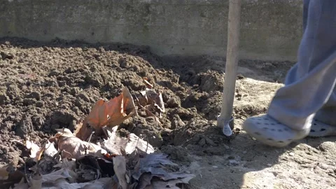 Farmer manually plows the soil for sowing. 库存影片 154585513