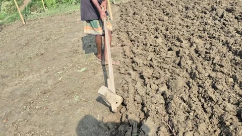 Farmer Manually Tilling Farm Soil With Wooden Hand Hoe Tool In Field Close Up Stock-Footage 342580026