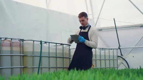 Farmer measures pH level of water in irrigation tank. Growing flowers, tulips Stock Footage 322767631