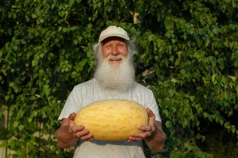 Farmer with melon in his hands Stock Photos
