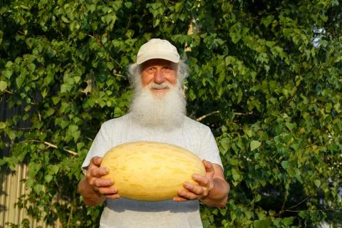 Farmer with melon in his hands Stock Photos