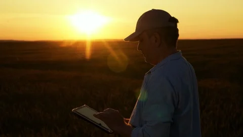 Farmer men works in field with computer tablet. Agronomist works in field Stock Footage 318987139