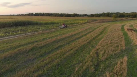 Farmer on mini tractor with trailer Stock-Footage 148523470