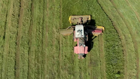 Farmer on a modern self-propelled unit mows a green fresh grass field on a Sunny Stockbeeldmateriaal 137556877