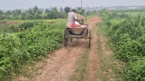 Farmer Moving Three Wheeled Cycle Van Along Dirt Road For Vegetable Harvesting Stock Footage 337456828