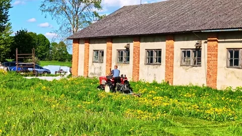 Farmer mowing a dandelion field with a compact tractor next to an old barn Stock Footage 341743530