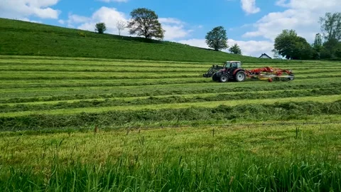 Farmer mows the meadow Stock Footage 274735284