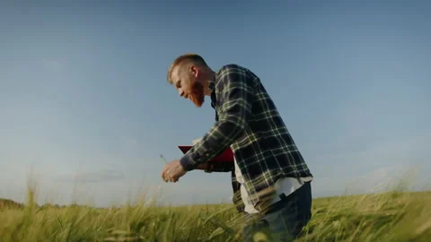 A farmer with a notebook is standing in a field of wheat. Crop inspection Stock Footage 201484552