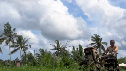 Farmer with old plow 180fps Video stock 242074065