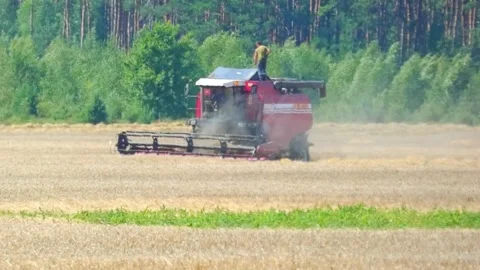Farmer operates combine harvester in field during summer day Stock Footage 325529985