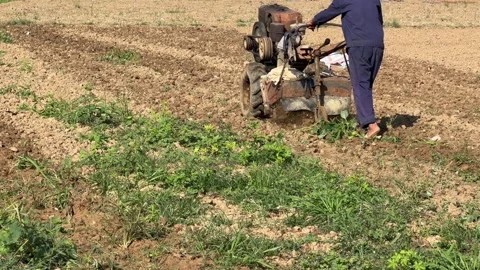 Farmer operates a motorized cultivator preparing soil and breaking ground across 库存影片 330413634