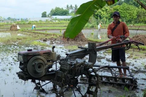 Farmer operates a muddy tractor Foto stock