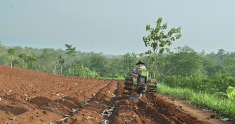 Farmer operates a red hand tractor to plow the soil Stock Footage 304568344