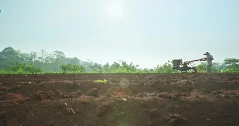 Farmer operates a red hand tractor to plow the soil Stock Footage 304568537