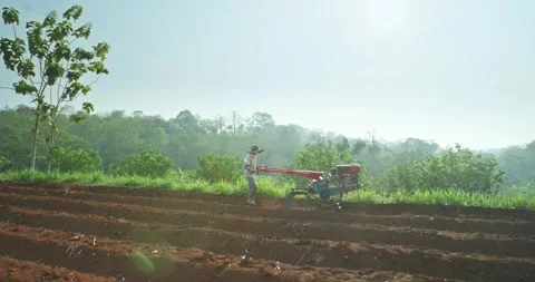 Farmer operates a red hand tractor to plow the soil Stock Footage 304568563