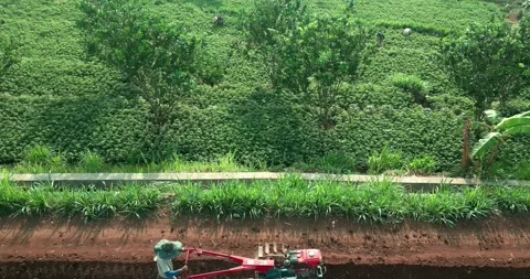Farmer operates a red hand tractor to plow the soil Stock Footage 304599135