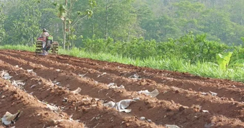 Farmer operates a red hand tractor to plow the soil Stock Footage 304619207