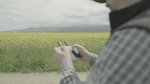 Farmer operating drone remote controller, ungraded flat profile canola field Stock Footage 336278652
