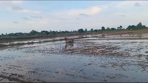 Farmer Operating Tractor to Till Soil for Rice Planting Stock Footage 336729554