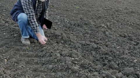 Farmer or agronomist inspecting quality of soil in field Video stock 123497558