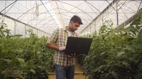 A farmer or a food engineer working with a computer in an organic greenhouse. Stock Footage 137969390