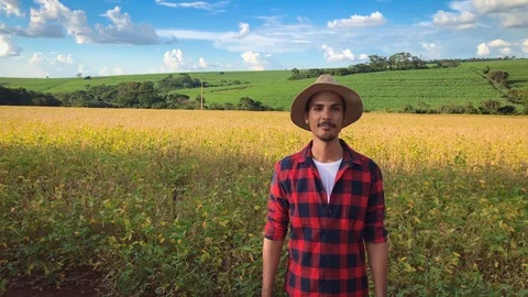 Farmer or worker with har in soybean field plantation 库存影片 87613822