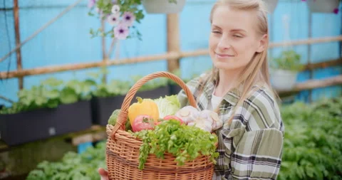 Farmer With Organic Vegetables In Farm. Stock Footage 246830647