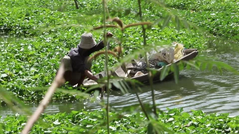 Farmer paddling in a marsh Stock Footage 241349467