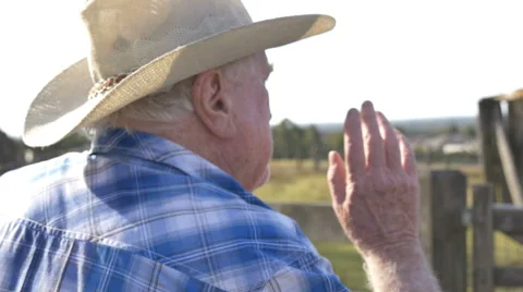 Farmer in paddock looking at farm property mid shot Stock Footage 67340618