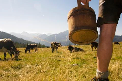 Farmer on pasture, low section Stock Photos