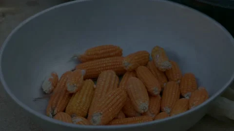 Farmer peeling corn and placing it in a basket Stock Footage 229690600