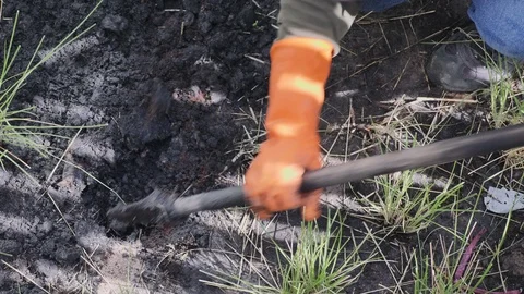 Farmer	People are digging soil to plant trees in the summer.  Stock Footage 108882390